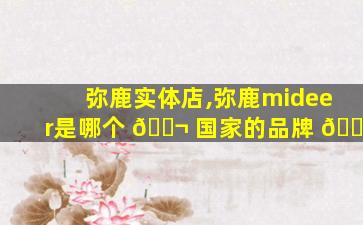 弥鹿实体店,弥鹿mideer是哪个 🐬 国家的品牌 🐯